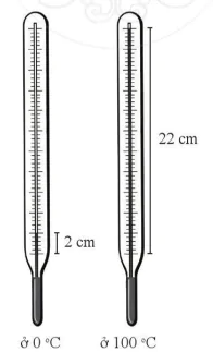 hinh-anh-bai-tap-chu-de-1-va-2-10248-0