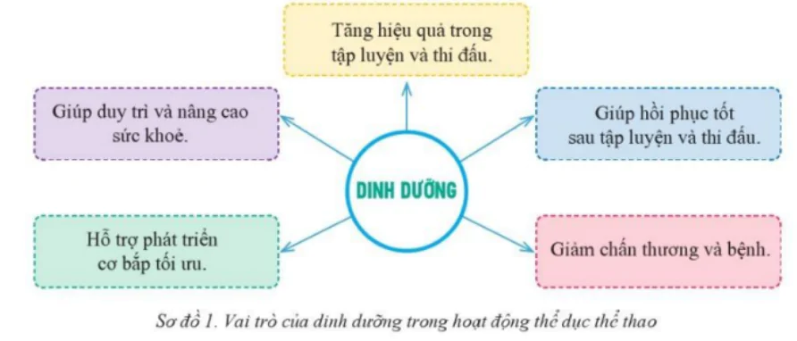 hinh-anh-chu-de-su-dung-che-do-dinh-duong-thich-hop-voi-ban-than-trong-tap-luyen-the-duc-the-thao-10486-0