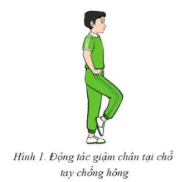 hinh-anh-bai-1-bai-tap-the-duc-nhip-dieu-dong-tac-dieu-hanh-dong-tac-di-chuyen-ngang-va-dong-tac-bat-tach-ngang-10685-0