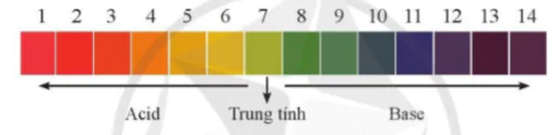 hinh-anh-bai-10-thang-ph-10726-5