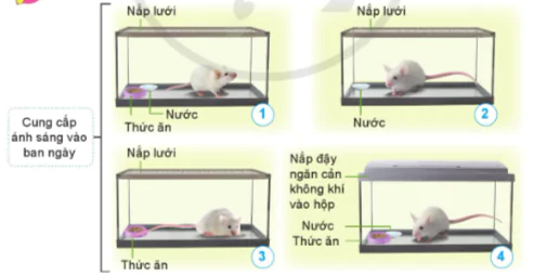 hinh-anh-bai-14-nhu-cau-song-cua-dong-vat-va-cham-soc-vat-nuoi-10838-0