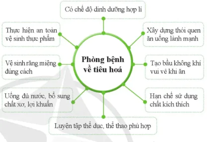 hinh-anh-bai-29-dinh-duong-va-tieu-hoa-o-nguoi-10857-19