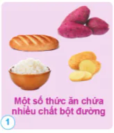 hinh-anh-bai-17-cac-chat-dinh-duong-can-thiet-cho-co-the-10866-0