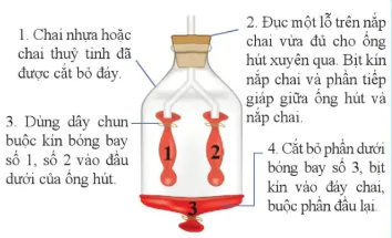 hinh-anh-bai-32-he-ho-hap-o-nguoi-10867-16