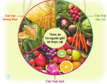 hinh-anh-bai-23-vai-tro-cua-thuc-vat-trong-chuoi-thuc-an-10890-0