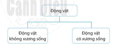 hinh-anh-bai-22-da-dang-dong-vat-khong-xuong-song-10953-0