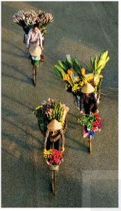 hinh-anh-bai-2-nhung-dieu-can-biet-de-chup-va-thuong-thuc-mot-buc-anh-12272-53