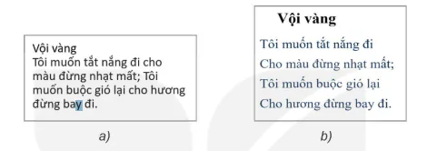 hinh-anh-bai-8-dinh-dang-van-ban-12484-0