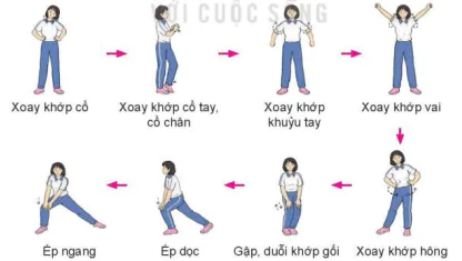 hinh-anh-bai-1-ki-thuat-dan-bong-bang-mu-trong-ban-chan-12542-0