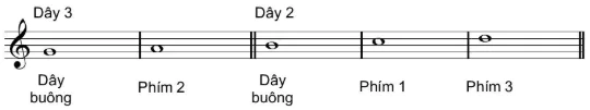 hinh-anh-bai-2-ki-thuat-bam-gay-tren-day-3-day-2-12676-0