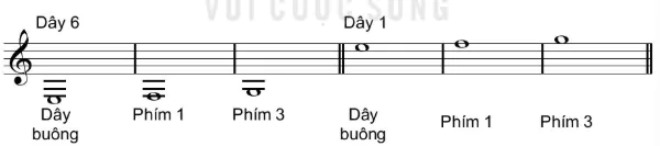 hinh-anh-bai-3-ki-thuat-bam-gay-tren-day-6-day-1-12677-0