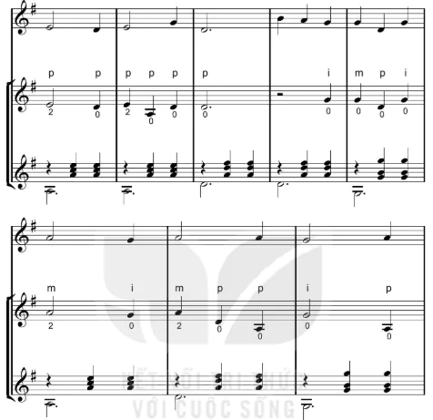 hinh-anh-bai-7-hoa-tau-tieu-pham-am-nhac-viet-nam-12687-7