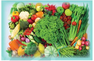 hinh-anh-chu-de-su-dung-cac-yeu-to-tu-nhien-va-dinh-duong-de-ren-luyen-suc-khoe-va-phat-trien-the-chat-12778-4