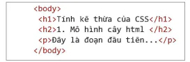 hinh-anh-bai-14-dinh-dang-van-ban-bang-css-12728-15