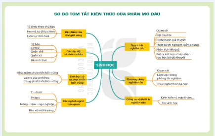 hinh-anh-bai-3-cac-cap-do-to-chuc-cua-the-gioi-song-12802-1