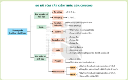 hinh-anh-bai-6-thuc-hanh-nhan-biet-mot-so-phan-tu-sinh-hoc-12813-10