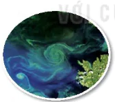 hinh-anh-bai-20-su-da-dang-va-phuong-phap-nghien-cuu-vi-sinh-vat-12862-0