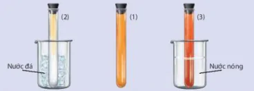 hinh-anh-bai-1-khai-niem-ve-can-bang-hoa-hoc-13171-22