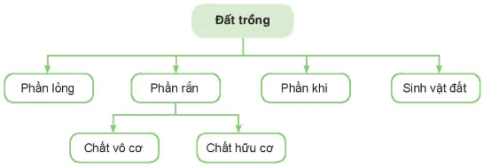 hinh-anh-bai-3-gioi-thieu-ve-dat-trong-13253-2