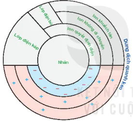 hinh-anh-bai-3-gioi-thieu-ve-dat-trong-13253-3
