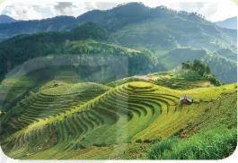 hinh-anh-bai-4-su-dung-cai-tao-va-bao-ve-dat-trong-13255-0