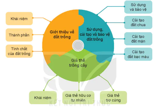 hinh-anh-on-tap-chuong-ii-13263-0