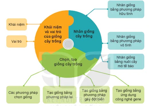 hinh-anh-on-tap-chuong-iv-13287-0