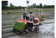 hinh-anh-bai-19-quy-trinh-trong-trot-va-co-gioi-hoa-trong-trong-trot-13312-5