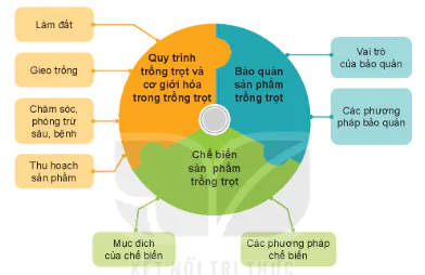 hinh-anh-on-tap-chuong-vi-13320-0