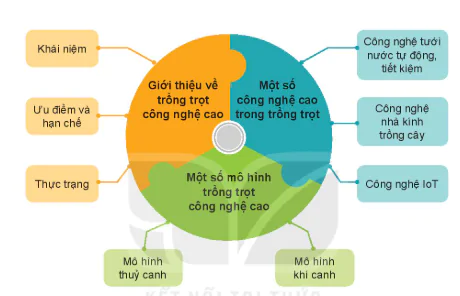 hinh-anh-on-tap-chuong-vii-13327-0