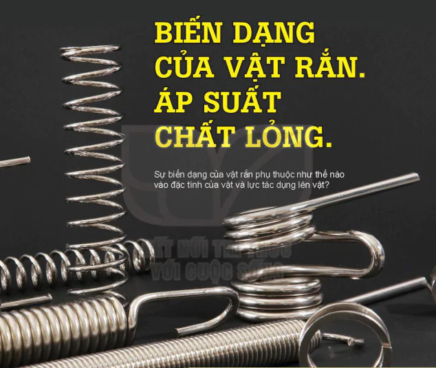 hinh-anh-bai-33-bien-dang-cua-vat-ran-13572-0