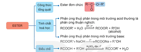 hinh-anh-bai-3-on-tap-chuong-1-13501-0