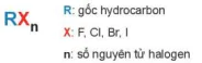 hinh-anh-bai-19-dan-xuat-halogen-13659-0