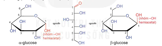 hinh-anh-bai-4-gioi-thieu-ve-carbohydrate-glucose-va-fructose-13502-0