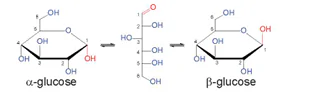 hinh-anh-bai-7-on-tap-chuong-2-13505-0