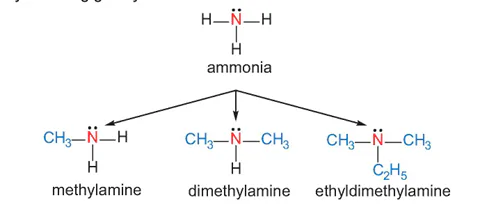 hinh-anh-bai-8-amine-13506-0
