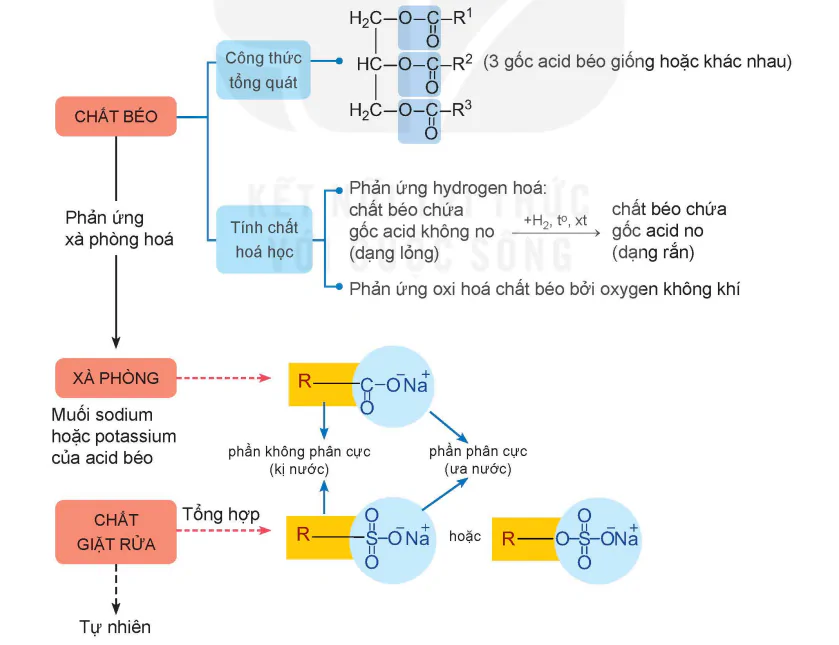 hinh-anh-bai-3-on-tap-chuong-1-13501-3
