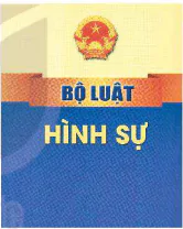 hinh-anh-bai-6-khai-niem-va-nguyen-tac-co-ban-cua-phap-luat-hinh-su-viet-nam-13279-0
