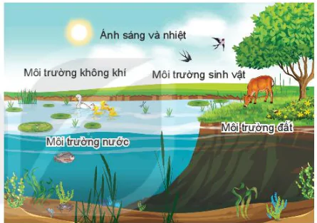 hinh-anh-bai-7-su-can-thiet-phai-bao-ve-moi-truong-13200-0