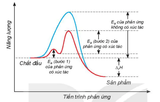 hinh-anh-bai-3-nang-luong-hoat-hoa-cua-phan-ung-hoa-hoc-13213-6