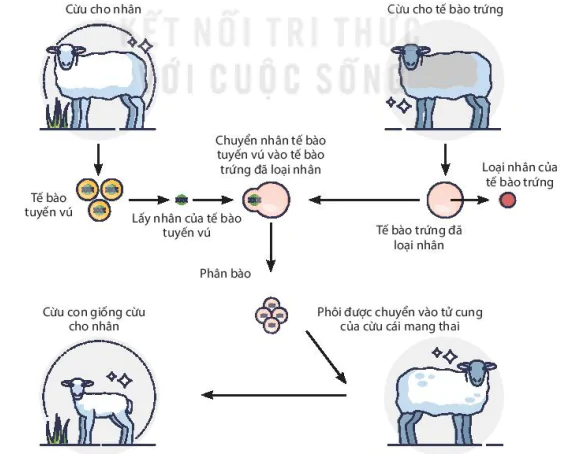 hinh-anh-bai-3-cong-nghe-te-bao-dong-vat-va-thanh-tuu-13224-0