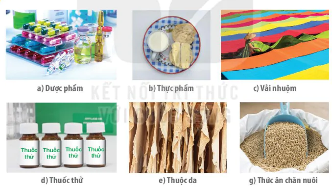 hinh-anh-bai-5-khai-quat-ve-cong-nghe-enzyme-13226-0