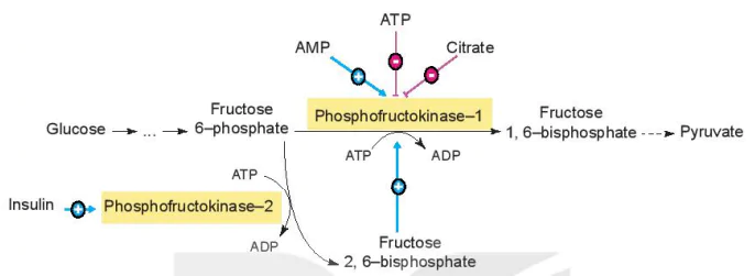 hinh-anh-bai-5-khai-quat-ve-cong-nghe-enzyme-13226-7