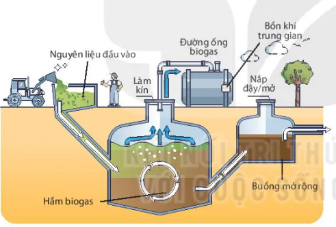 hinh-anh-bai-9-vai-tro-cua-vi-sinh-vat-trong-xu-li-o-nhiem-moi-truong-13230-0