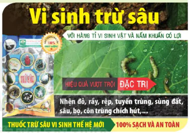 hinh-anh-bai-4-mot-so-ung-dung-ong-nghe-sinh-hoc-trong-bao-ve-thuc-vat-13343-0