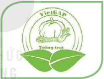 hinh-anh-bai-11-gioi-thieu-ve-vietgap-trong-trot-13351-0