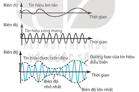 hinh-anh-bai-4-bien-dieu-13520-0