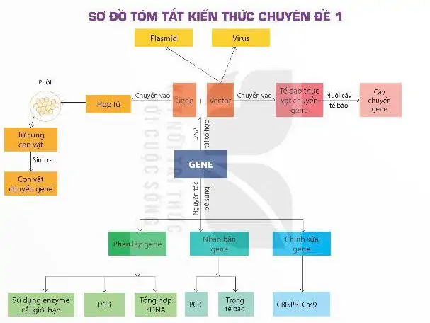 hinh-anh-so-do-tom-tat-kien-thuc-chuyen-de-1-13939-0