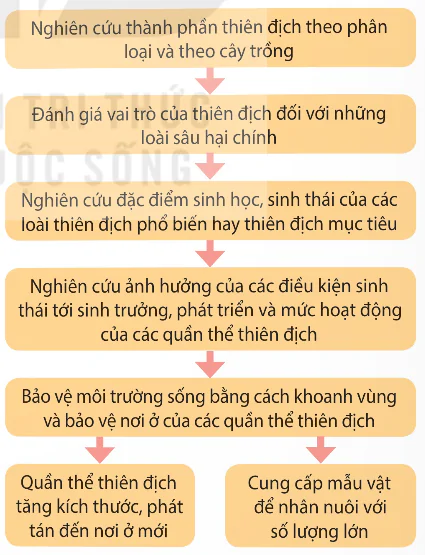 hinh-anh-bai-6-cac-bien-phap-kiem-soat-sinh-hoc-13941-0