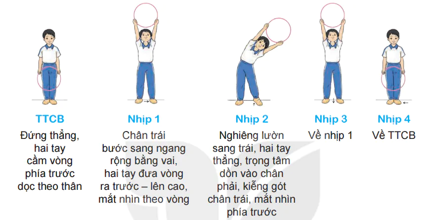 hinh-anh-chu-de-2-bai-2-dong-tac-luon-dong-tac-lung-bung-dong-tac-toan-than-voi-vong-5561-1